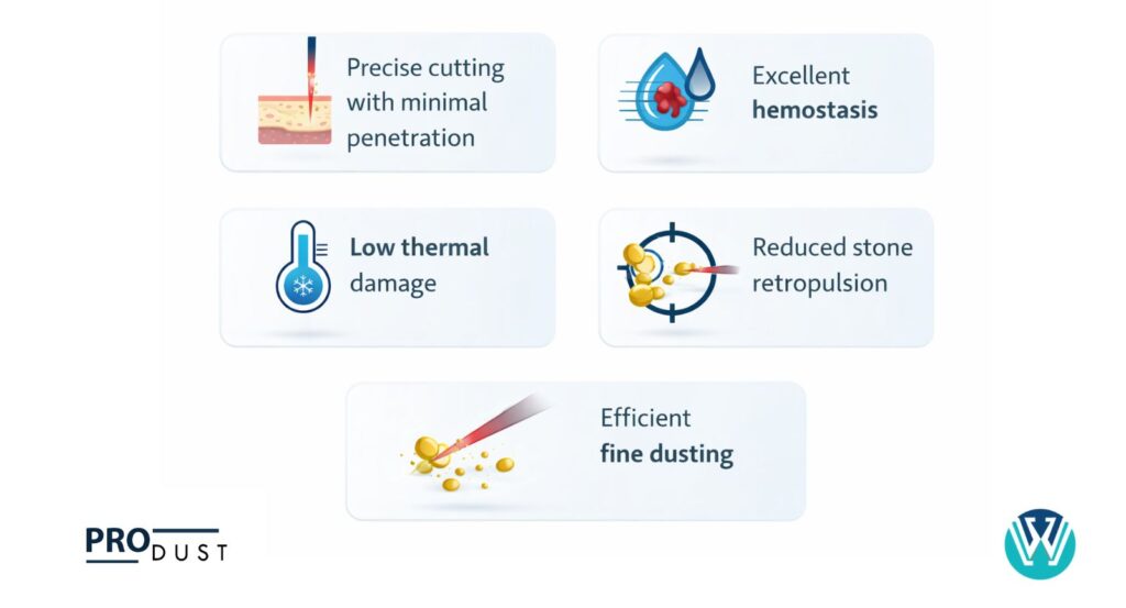 wellnect pro dust 45 w tfl laser